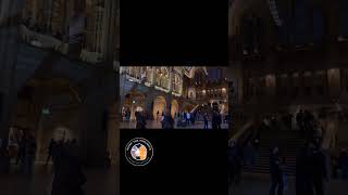 Discover Hintze Hall Natural History Museum London [upl. by Sivrahc940]