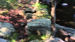 Sebago Cabins on Lake Sebago [upl. by Penni]