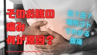 【腹痛】左下腹部？右下腹部？その痛みどこから？〜お腹の痛みの原因を知ろう〜 [upl. by Kcirdled]