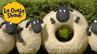 La Oveja Shaun 🐑 Ovejas y cabras 🐑 Dibujos animados para niños [upl. by Pruter40]