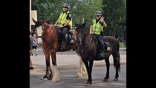 Montreal Police on horseback [upl. by Anahahs]