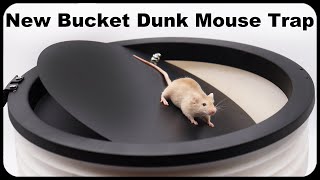 A New Bucket Dunk Mouse Trap Sold On Amazon Mousetrap Monday [upl. by Hama391]