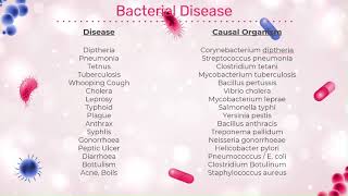 Bacterial Disease and their Causal Organism [upl. by Pollerd532]