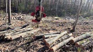 Timberpro comboSp661 cutting hardwood [upl. by Matta254]