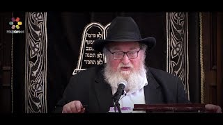 The Costs of Being Zealous  Rabbi Yitzchak Breitowitz [upl. by Emmery]