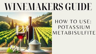 Unlocking Wines Longevity The Power of Potassium Metabisulfite [upl. by Akemed484]