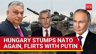 PutinOrban Bonhomie Irks West Hungary Snubs NATO Meeting But Attends Event With Russias FM [upl. by Dixon]