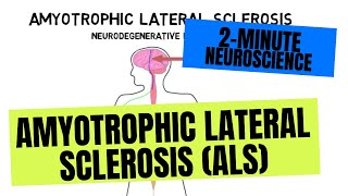 2Minute Neuroscience Amyotrophic Lateral Sclerosis ALS [upl. by Colis]