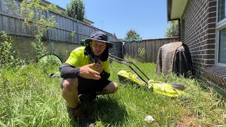 Single Working Mum was GHOSTED by a Lawnmower Man We Clean it up for FREE Extreme Lawn Detailing [upl. by Zeitler]