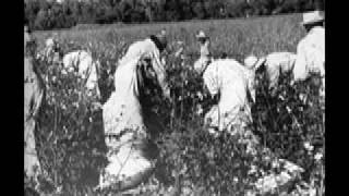 Sharecropping in the Mississippi Delta Podcast [upl. by Eirellam]