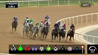 Dubai Kahayla Classic – Tilal Al Khalediah– Dubai World Cup 2024 [upl. by Aehtla]