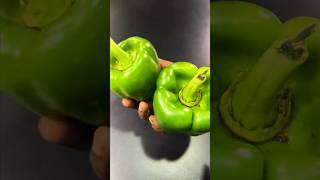 இதுல இப்படி ஒரு ரகசியமா  🔥 Selecting Capsicum Like a Pro capsicum bellpeppers cooking [upl. by Kcim]