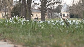 Frühling im Frankfurter Palmengarten [upl. by Erhart967]