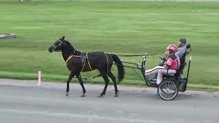 Nappanee Raceway 7524 Alan Stutzman Jog Cart Surprise [upl. by Felipa16]