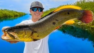 Most ANCIENT Trash Fish in America Catch Clean Cook Mudfish [upl. by Clywd]