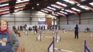 Dog Agility at Myerscough College  jumping round [upl. by Xella]