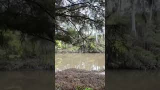 Warrandyte State Park  VIC Australia park lake river camping hike asmr relax outback [upl. by Ylicec]