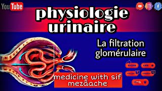 3 La Filtration Glomérulaire  Physiologie 2éme Med [upl. by Neille561]