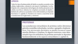 Acumulaciones intracelularesEsteatosisCalcificacionEnvejecimientoCAPITULO 1 ROBBINS PARTE 4 [upl. by Hugo]