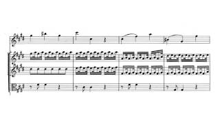 Violin Concerto quotSpring  La Primaveraquot in E major Op 8 No 1  Vivaldi Score [upl. by Rocher]