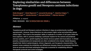 Similarities and differences between Toxoplasma gondii and Neospora caninum infections in dogs [upl. by Marcus]