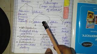 Plasma Proteins Albumin Globulin amp Fibrinogen physiology plasma protein [upl. by Liv458]