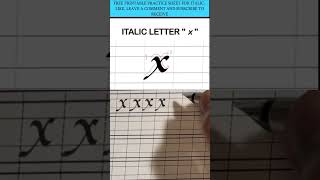 calligraphy  how to write italic ‘X’ using broadnibpen calligraphytutorial handwriting italic [upl. by Freeland]