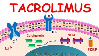 Tacrolimus ointment for atopic dermatitis [upl. by Daphie]