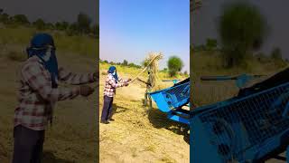 Multicrop thresher agriculture farmer YouTubeshort multitechharvest [upl. by Atinit]