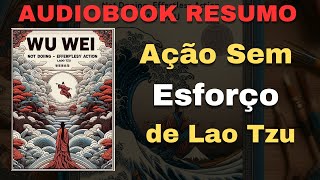 Wu Wei Não Faça  Ação Sem Esforço de Lao Tzu AUDIOLIVRO RESUMO DETALHADO [upl. by Lusar]