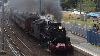 Kiama Picnic Train  9S01  5917 and 4903 [upl. by Hefter]