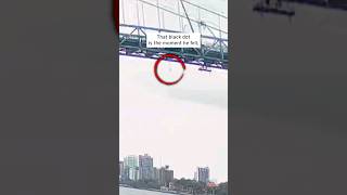 Worker Falls 150 Feet Off Bridge shorts [upl. by Llenrod]