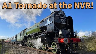 Tornado 60163 at the Nene Valley Railway 2024 [upl. by Alyworth]