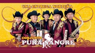 Conjunto Pura Sangre  Popurri de Huapangos ♪ 2016 [upl. by Rosabelle379]