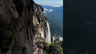 Salto Angel 🇻🇪  Angel Falls 🇻🇪 venezuela saltoangel [upl. by Inoek544]