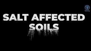 Saltaffected soils discovering a missed reality [upl. by Peppard]