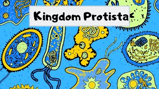 Kingdom of Protista [upl. by Electra]