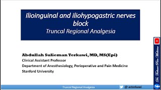 Ilioinguinal and Iliohypogastric Nerves Block [upl. by Sibyls]