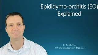 Epididymoorchitis EO explained 49 [upl. by Alemrac]