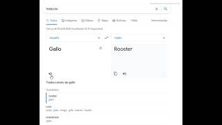 Escucha como dice el traductor de Google quotGalloquot en Español [upl. by Rehpatsirhc129]