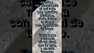 Solo Miro🌹 POEMAS ❤ del Zarampauilo Poético poesia amor poetics [upl. by Ardnoid308]