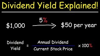 The Dividend Yield  Basic Overview [upl. by Dorena]