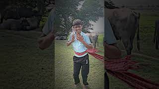 Balamua 23 sal ke भोजपुरी rel short video trending music video viralsong [upl. by Dlnaod]