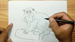 How to draw A EMPEROR TAMARIN [upl. by Allemac]