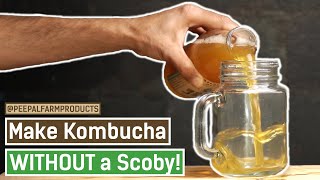 How to make Kombucha WITHOUT a Scoby  Kombucha Homemade Recipe  Healthy Probiotic Drink  DIY [upl. by Fafa782]