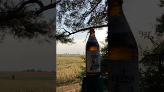 🍺 Bierchen im Wald 06092024 1754 Uhr beer nature summer [upl. by Ulu]