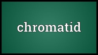 Chromatid Meaning [upl. by Omland]