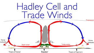 Geography Classics Hadley Cell Trade Winds and Deserts [upl. by Aivek]