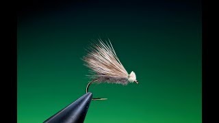 Fly Tying a CDC Elk hair caddissedge with Barry Ord Clarke [upl. by Ahseenak]