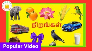 நிறங்கள்  வண்ணங்களின் பெயர்கள் Learn colours in Tamil for Kids and children Tamilarasi [upl. by Lemmy894]